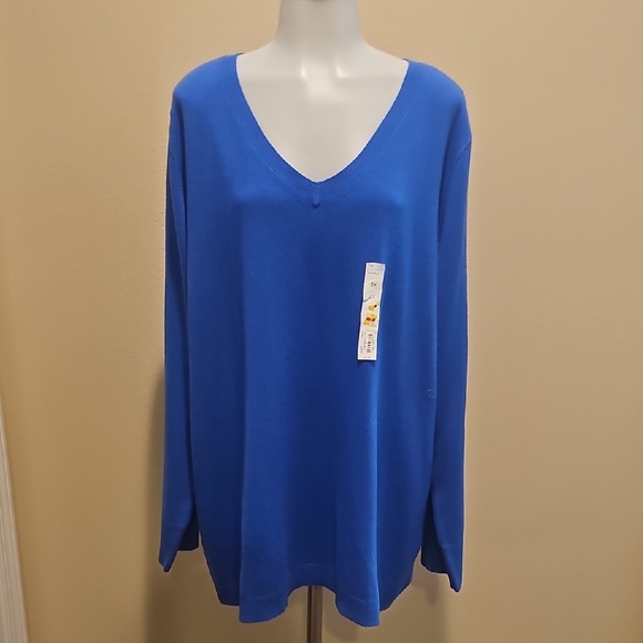 Sweaters - 🍉Bright Blue V-Neck Sweater